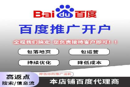 实战技巧：竞价推广案例解析与优化策略
